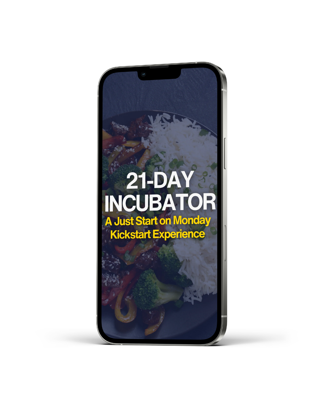 21-Day Incubator Program